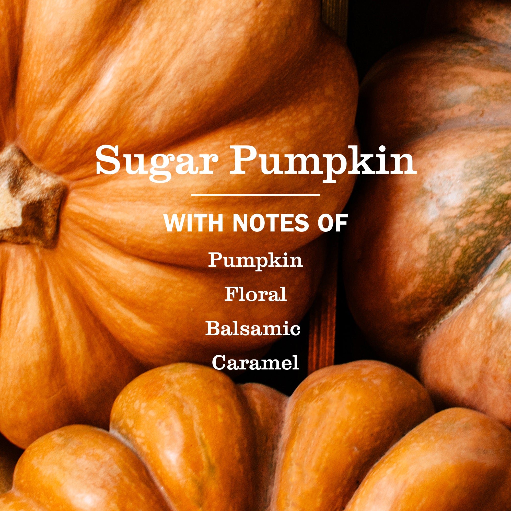 Sugar Pumpkin Multi-Surface Everyday Cleaner - Image 3