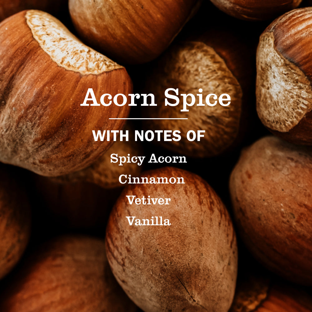 Acorn Spice Room Freshener - Image 4