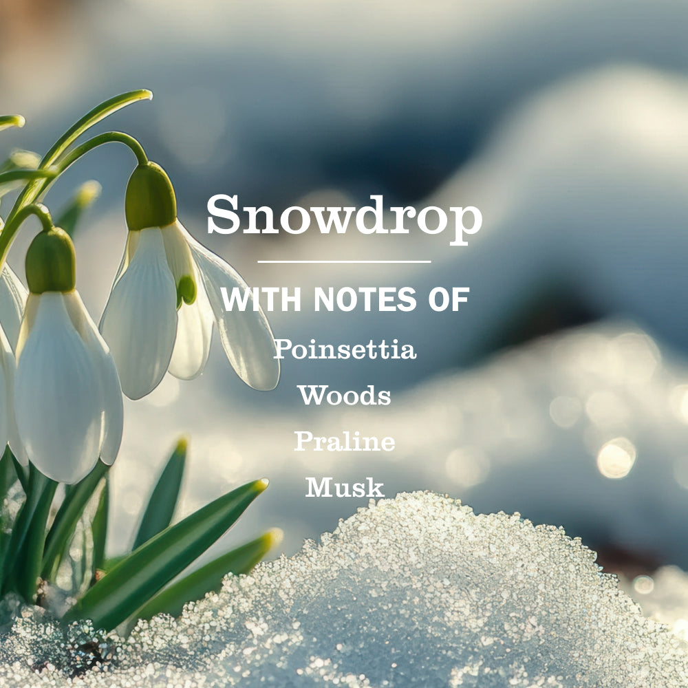 Snowdrop Hand Care 3-Count Bundle - Image 2